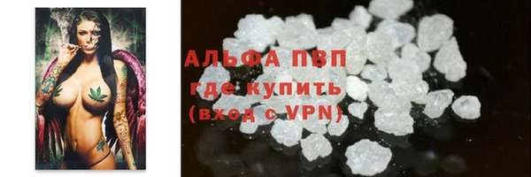 индика Елабуга
